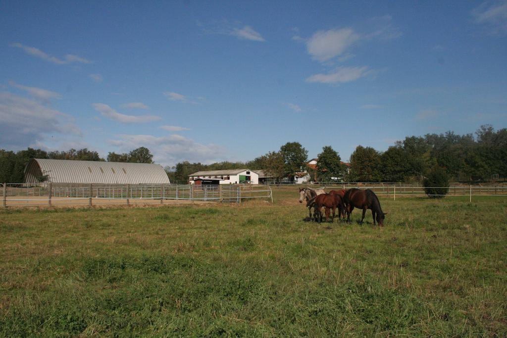 Agriturismo Fano'S Farm Suno Exterior photo